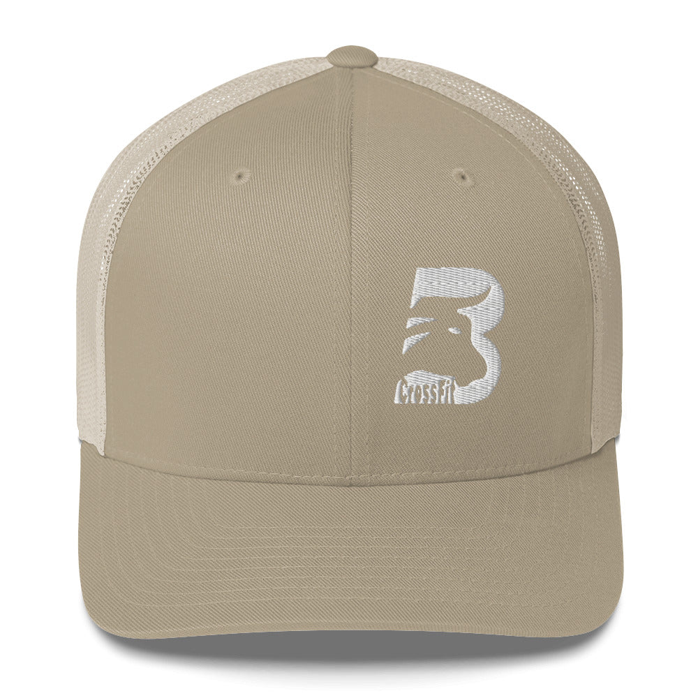 Brandywine Snapback